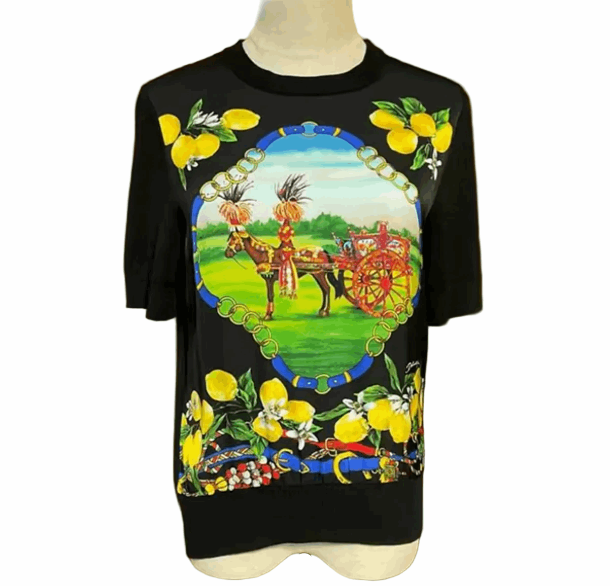 sicilian lemons wool and silk short sleeve sweater for spring vacation